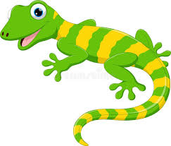 a lizard